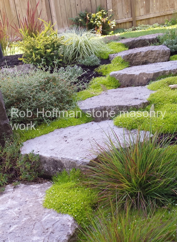 Andesite steps with Scotch Moss.