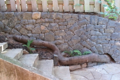 Black basalt retaining wall with arch for tree root.