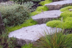 Andesite steps with Scotch Moss.